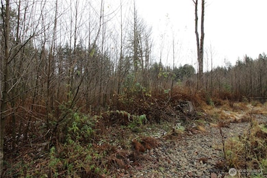 0 364th Ave SE, Maple Valley, WA 98038 - photo 2