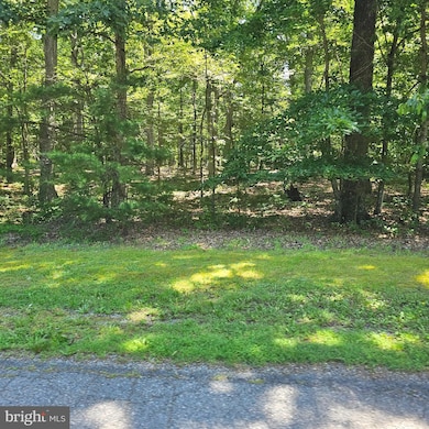 0 Anna Coves Ct unit VALA2006040, Mineral, VA 23117 - photo 2