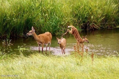 101 Pines Rd, Newport, WA 99156 - photo 5