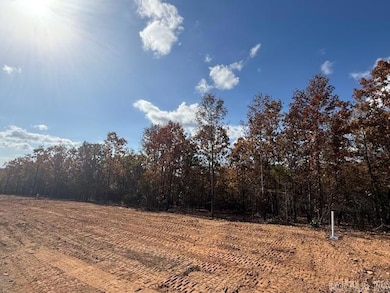 14 Summer Tyme Dr, Greenbrier, AR 72058 - photo 3