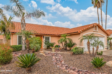 3425 E Sequoia Dr, Phoenix, AZ 85050 - photo 5