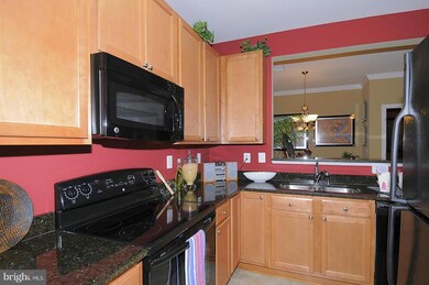 6161 Willow Place unit 208, Bealeton, VA 22712 - photo 5