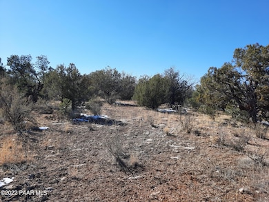 Lot 1423 Bridge Canyon Country Estates, Seligman, AZ 86337 - photo 3