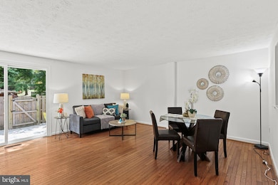 7527 Rain Flower Way, Columbia, MD 21046 - photo 5