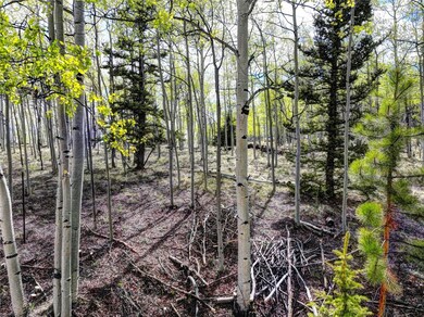 View of mother earth's splendor