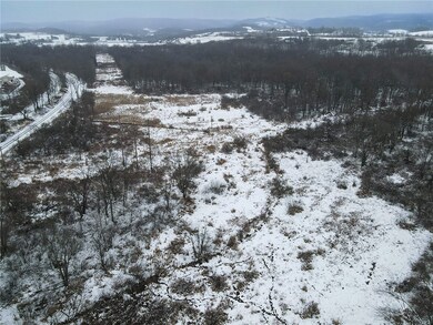 0 Mt Pleasant Rd unit 1733031, East Huntingdon, PA 15666 - photo 7