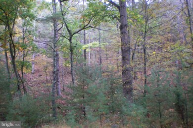 0 Dickenson Mountain Rd unit 220/7 WVPT100100, Franklin, WV 26807 - photo 2