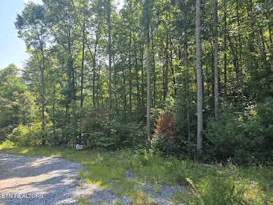 Red Rooster Way Photo use 2