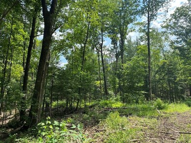 Lot 13 Howes Rd, Buckland, MA 01370 - photo 3