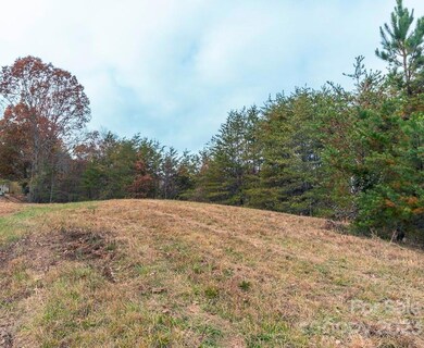 00000 Tweed Rd unit 1, Leicester, NC 28748 - photo 6