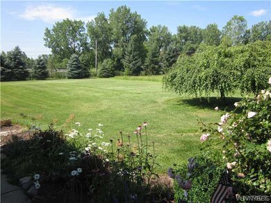 Landscaping Front yard