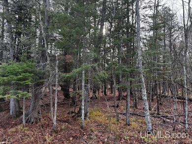 TBD Skanee Rd, Skanee, MI 49962 - photo 6