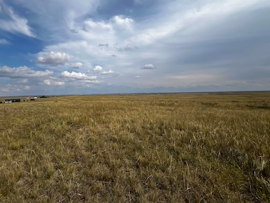 TBD Buggy Rd, Carpenter, WY 82054 - photo 7