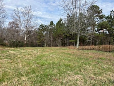 00 Bard Rd, Greenville, KY 42345 - photo 4