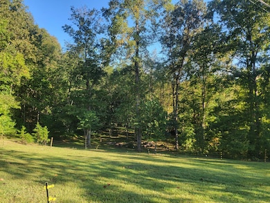 2285 Euchee Chapel Rd, Spring City, TN 37381 - photo 4