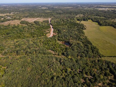 Aerial view with a forest view