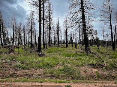 LOT 591 Leslie Loop, Fort Garland, CO 81133 - photo 2