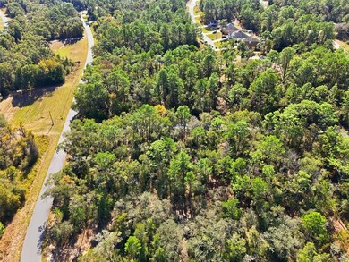 2237 W Striblin Dr, Dunnellon, FL 34434 - photo 4