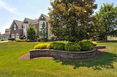 Professional Landscape