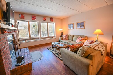 17 Snow Tree Ln unit D, Dover, VT 05356 - photo 2