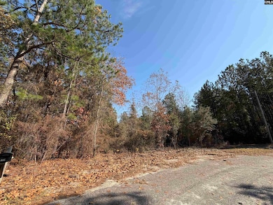 1043 Oakland Dr, Camden, SC 29020 - photo 2