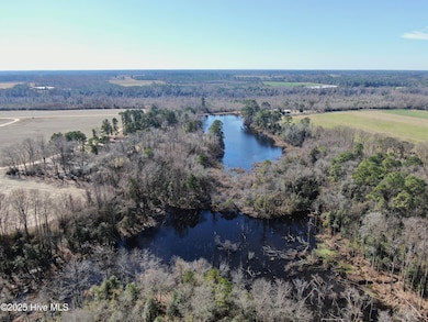 00 Trail End Ln, Newton Grove, NC 28366 - photo 6