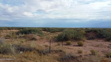 TBD Us 54, Chaparral, NM 88081 - photo 7