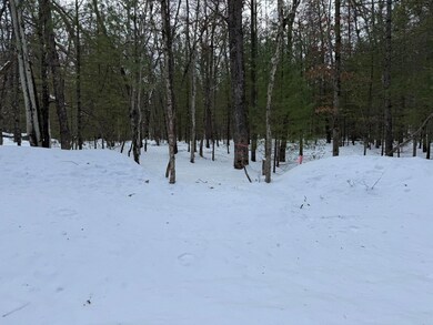 0 E Riverside Drive - C unit 25003541, Irons, MI 49644 - photo 2