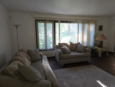 20535 Marathon Ct, Olympia Fields, IL 60461 - photo 5