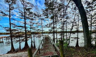 7 Yazoo Pass Dr, Dundee, MS 38626 - photo 6