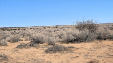 0 Castle unit IG25217353, Boron, CA 93516 - photo 3