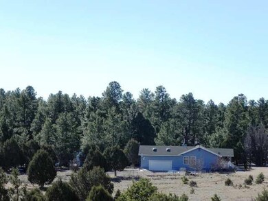 641 E Owens, Show Low, AZ 85901 - photo 5