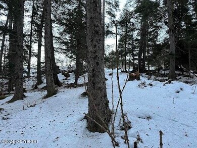 Heavily treed