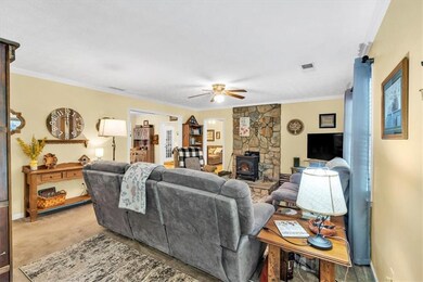 Living area featuring a ceiling fan, crown molding, a wood stove, carpet flooring, and baseboards