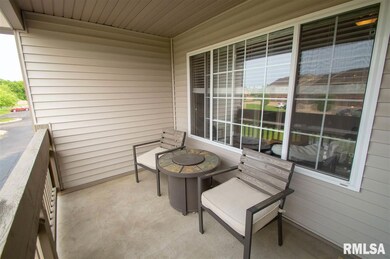 4561 N Thornhill Dr unit 210, Peoria, IL 61615 - photo 4