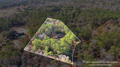 1008 Smith Ln, McComb, MS 39648 - photo 4