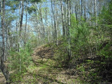 16 Carr Dr unit LOT 6, Leicester, NC 28748 - photo 4