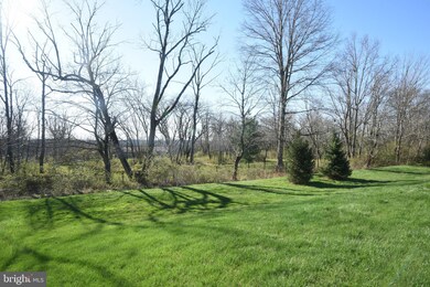 4682 Plough Tavern Rd, Doylestown, PA 18902 - photo 4