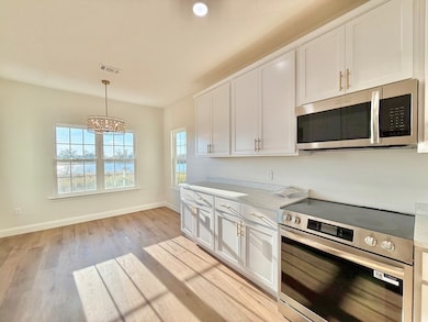 51 Alans Way, Broxton, GA 31519 - photo 7