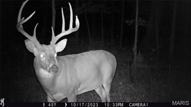 00 Union Grove Ave, Lagrange Township, IL 62246 - photo 2