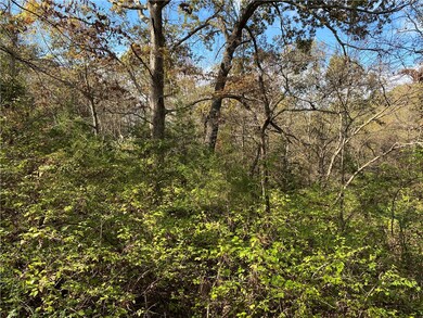 760-19585-000 Sandot Dr, Bull Shoals, AR 72619 - photo 7