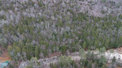 00 Vermont Route 100, Jamaica, VT 05343 - photo 5