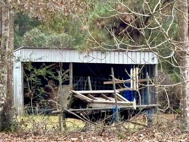 120 Will Thompson Rd, Picayune, MS 39466 - photo 6