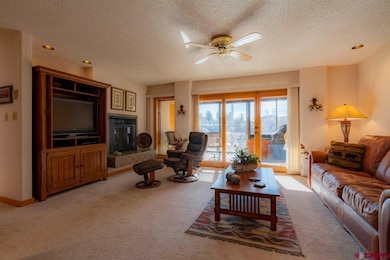 399 W Park Ave unit A1, Durango, CO 81301 - photo 4