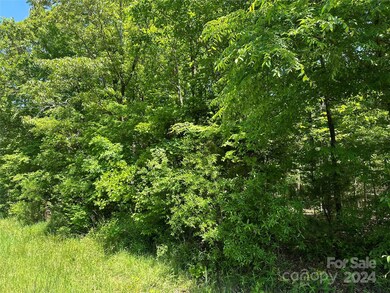 0 Forest Hills School Rd, Marshville, NC 28103 - photo 2