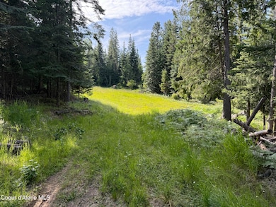 NKA S Fern Creek Rd, Cataldo, ID 83810 - photo 6