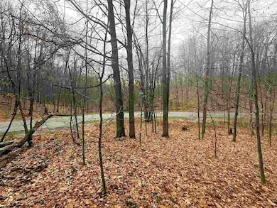 Lot 57 Valley Run Rd unit 57, Custer Township, MI 49615 - photo 6