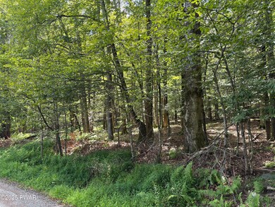 0 Wallenpaupack Dr unit PWBPW252769, Greene Township, PA 18426 - photo 2