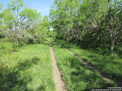 000 County Road 355, Hondo, TX 78861 - photo 2