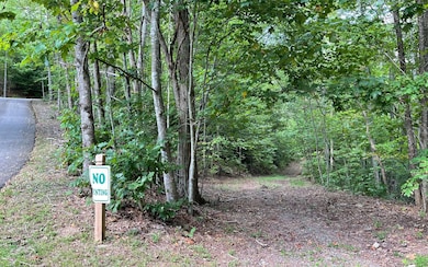 LOT 20 Enchanted Ridge, Hayesville, NC 28904 - photo 7